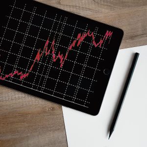 SEO Beratung mit Performance Management